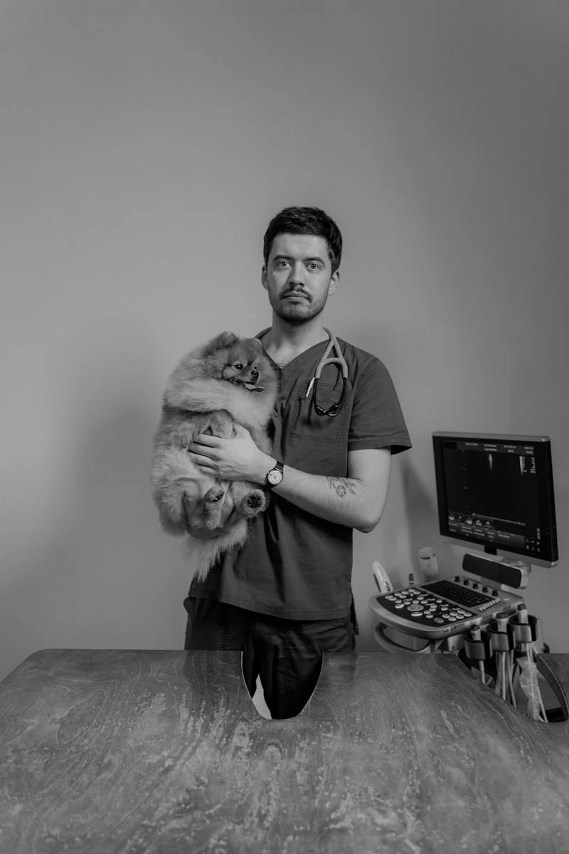 Médico Veterinário Dr° Daico Rossi | Araçatuba - SP - equipe