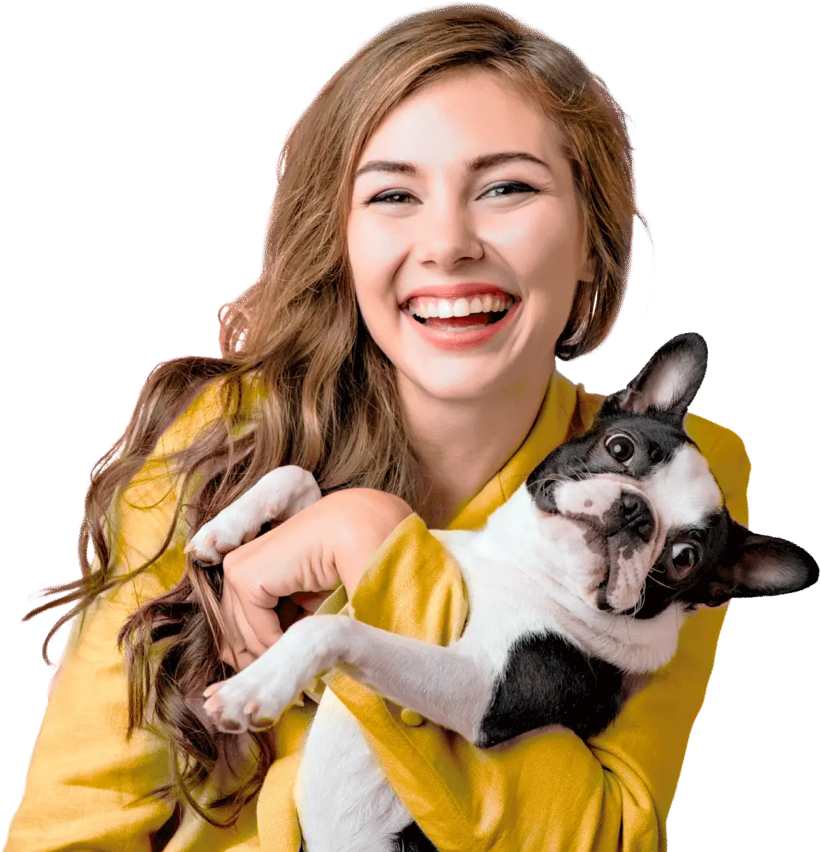 Médico Veterinário Dr° Daico Rossi | Araçatuba - SP