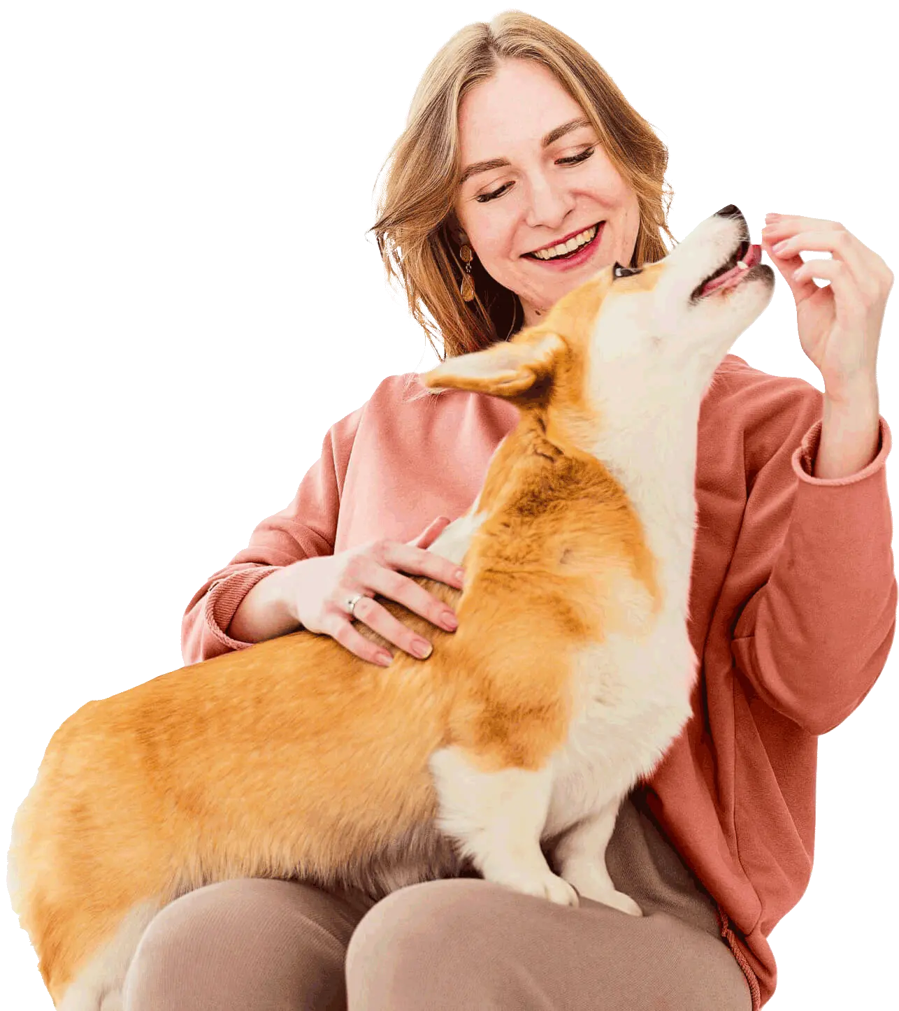 Médico Veterinário Dr° Daico Rossi | Araçatuba - SP